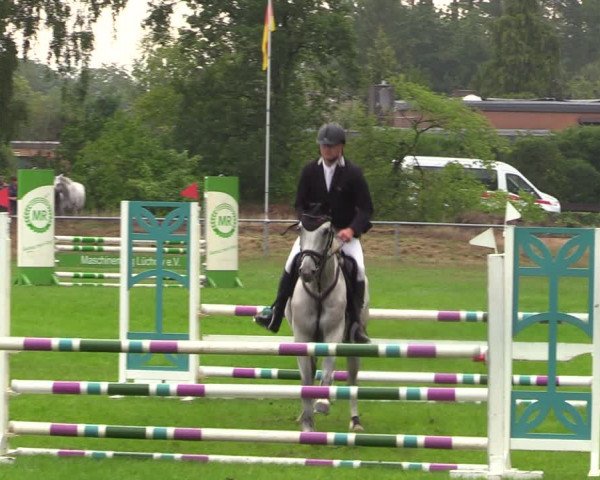 Reitturnier Dannenberg 2023