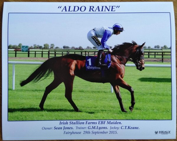 horse Aldo Raine xx (Thoroughbred, 2013, from Zebedee xx)