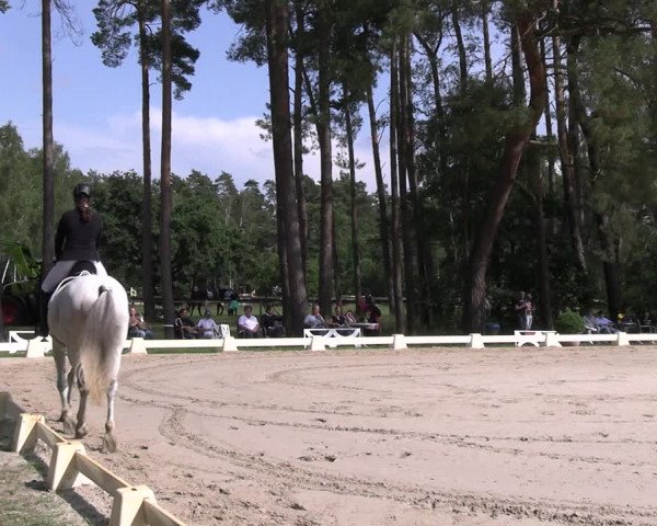 Reitturnier Dannenberg 2023
