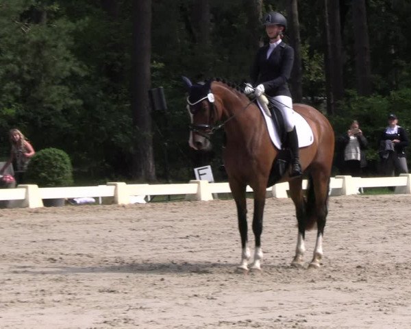 Reitturnier Dannenberg 2023