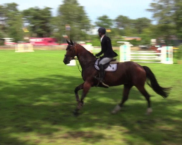 Reitturnier Dannenberg 2023