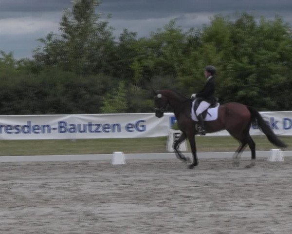 Reitturnier Baschütz bei Bautzen 2023