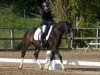 dressage horse Holsteins Happyness (German Riding Pony, 2010, from Holsteins Herold)