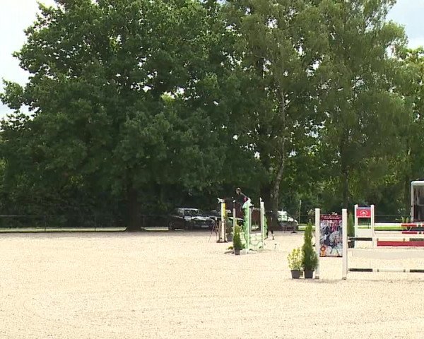 Reitturnier Rot am See- Musdorf 2023