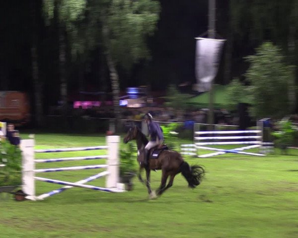 Reitturnier Etingen 2023