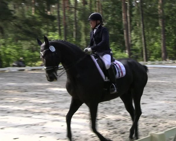 Reitturnier Dannenberg 2023