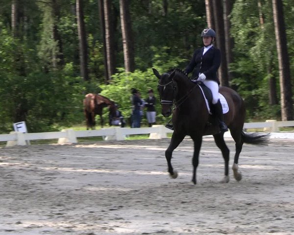 Reitturnier Dannenberg 2023