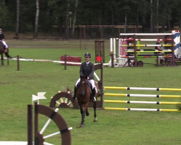 Reitturnier Gallinchen 2023