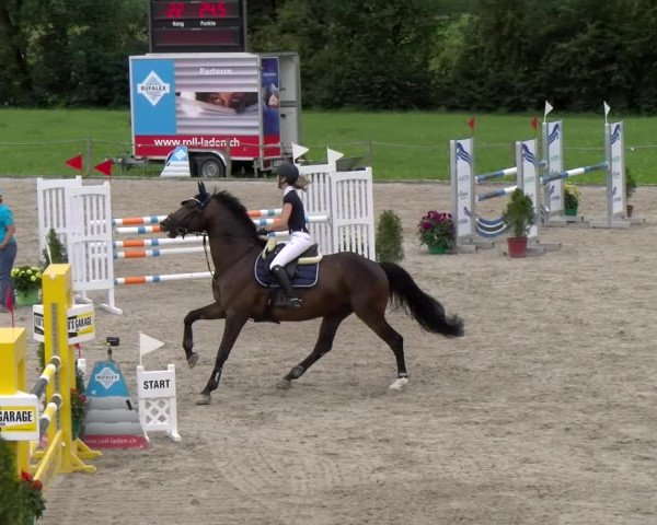 Reitturnier Gossau 2023