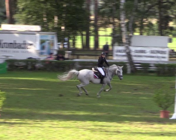 Reitturnier Etingen 2023