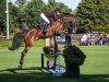 jumper Corlestan RP (German Sport Horse, 2015, from Cellestial)