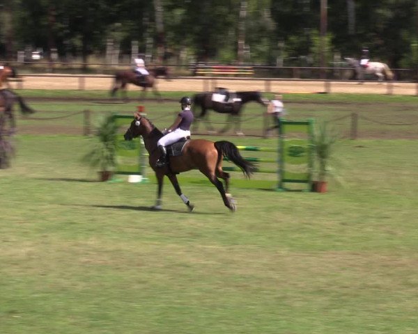 Reitturnier Gallinchen 2023