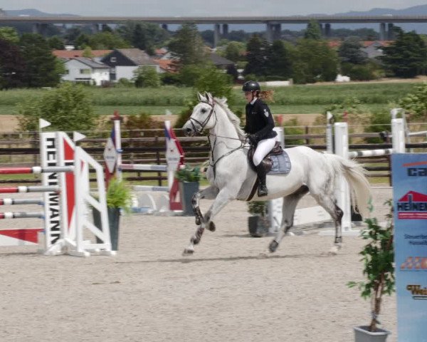 Reitturnier Worms-Pfeddersheim / Reitsportanlage Wittemer 2023