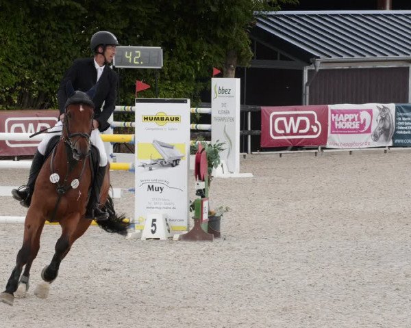 Reitturnier Worms-Pfeddersheim / Reitsportanlage Wittemer 2023