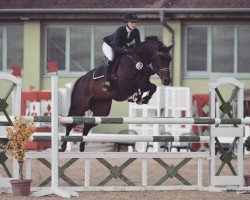 jumper Cleonia (Danish Warmblood, 2011, from Conthargos)