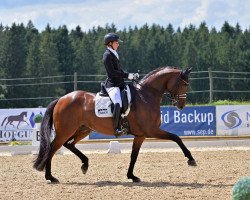 dressage horse Gut Wettlkam's Dantiamo (Hanoverian, 2016, from Dante Weltino Old)