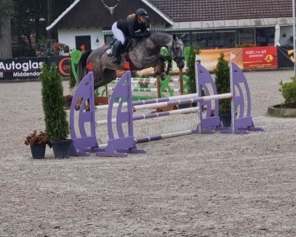 jumper Charleen EG (Hanoverian, 2019, from Cavoiro - H OLD)