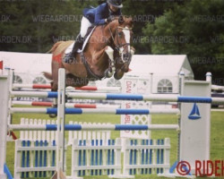 jumper Bellano van de Bosbeek (Belgian Warmblood, 2001, from Quasimodo vd Molendreef)