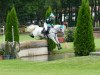 jumper Menlo Will (Connemara Pony, 2010, from Spiddal Wills Boy)