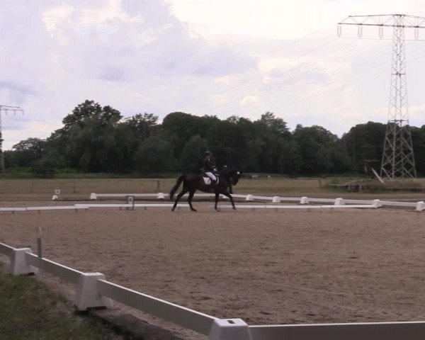 Reitturnier Gallinchen 2023