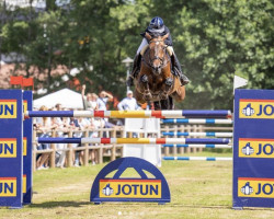 jumper Estolga (KWPN (Royal Dutch Sporthorse), 2009, from Toulon)