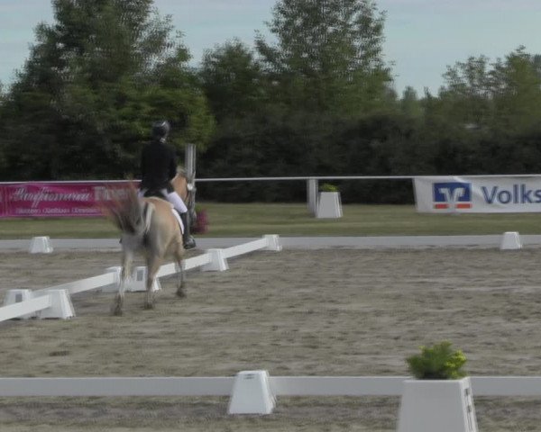 Reitturnier Baschütz bei Bautzen 2023