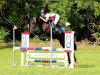 jumper Cosima 286 (German Riding Pony, 2012, from Ginger 556)