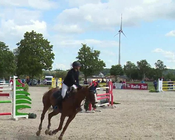 Reitturnier Rot am See- Musdorf 2023