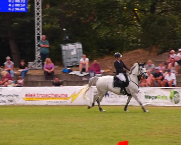 Reitturnier Baschütz bei Bautzen 2023