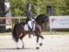 dressage horse Bandro Hit Linaro (French Pony, 2011, from Sandro Hit)