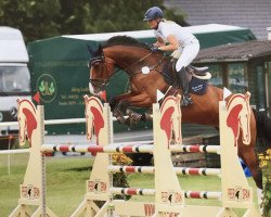 jumper Oak Grove's Oracle (Zangersheide riding horse, 2013, from Sterrehof's Opium)