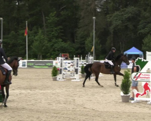 Reitturnier Ladelunder Springtage 2023