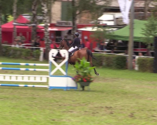 Reitturnier Etingen 2023