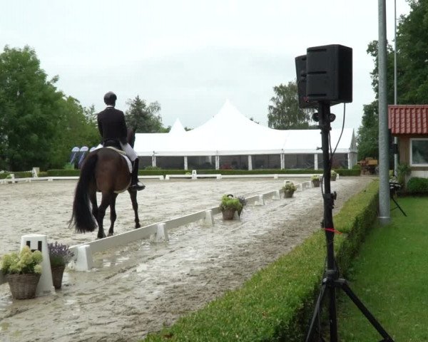 Reitturnier Neu-Anspach / Wintermühle 2023