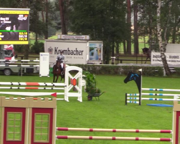Reitturnier Etingen 2023