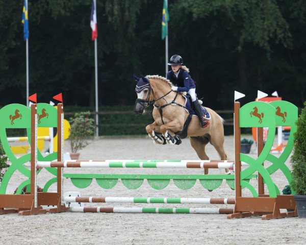 jumper Tamino 289 (German Riding Pony, 2011, from The Best of Mobility)