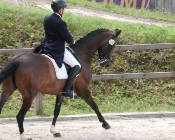 Reitturnier Bübinger Hof 2023