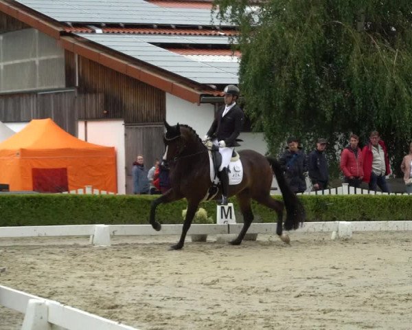 Reitturnier Neu-Anspach / Wintermühle 2023