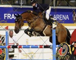 jumper Glenmorangie (Swedish Warmblood, 2012, from Cyklon 1083)