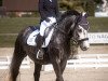 dressage horse Prinz (Polish Warmblood, 2017)