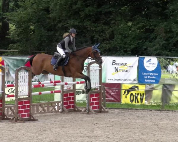 Reitturnier Gossau 2023