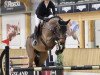 jumper Tailormade Nils S (Oldenburg show jumper, 2015, from Casallco)