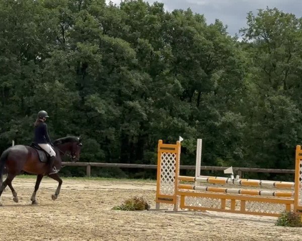 Video von Lady Royal Cleopatra
