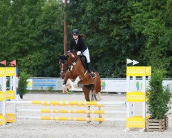 dressage horse Ronja 2155 (Pinto with riding horses pedigree, 2006, from Remington Steel)