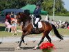 dressage horse Bohemia R (Hanoverian, 2016, from Buckingham)