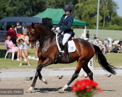 dressage horse Bohemia R (Hanoverian, 2016, from Buckingham)