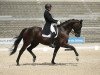 dressage horse FBW Dantes Zazou (German Sport Horse, 2014, from Dante Weltino Old)