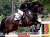 broodmare Indira 132 (German Sport Horse, 2003, from Casado)