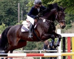 broodmare Indira 132 (German Sport Horse, 2003, from Casado)