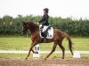 dressage horse Zinderella 4 (German Sport Horse, 2016, from Birkhof's Zalando OLD)